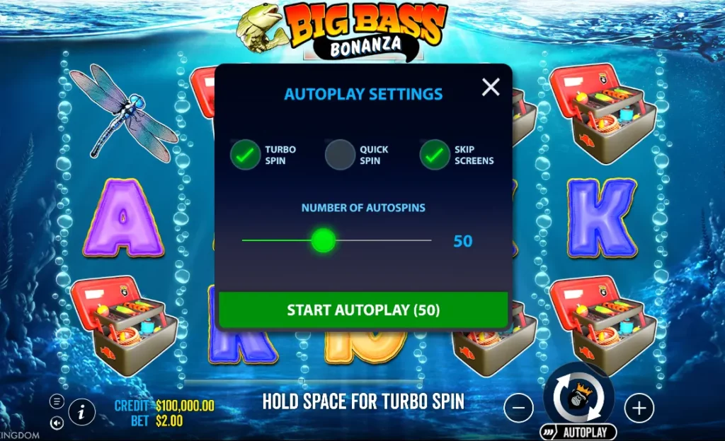 إعدادات التشغيل التلقائي لـ Big Bass Bonanza